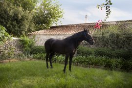 Eines Menorca